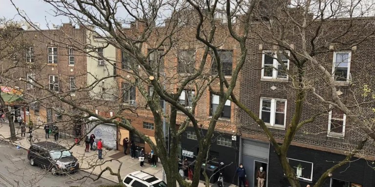 Mutual Aid in New York City